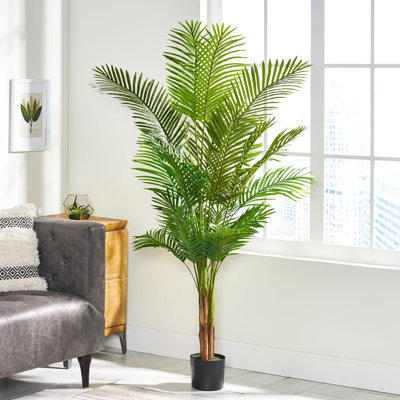 180Cm Artificial Tree - Appeal Of Tropical Allurement Long Feathered And Orderly Systematically Unbranched Stems For Instant Adornment 43W X 43D 71H Iron Plastic Artificially Crafted Grace Charisma