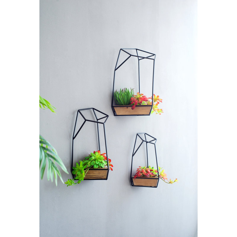 Planter, Set of 3 Wall Planter