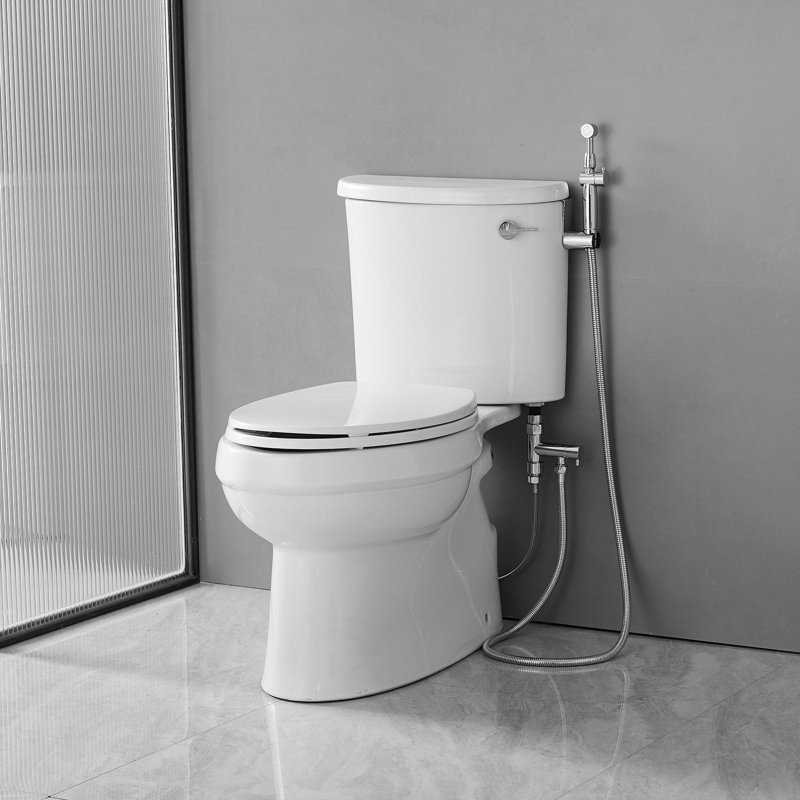Support de bidet non-électrique pour bidet en laiton, Chrome poli