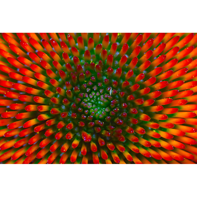 De vert à orange par Red_Moon_Rise, H 32 po x l 48 po