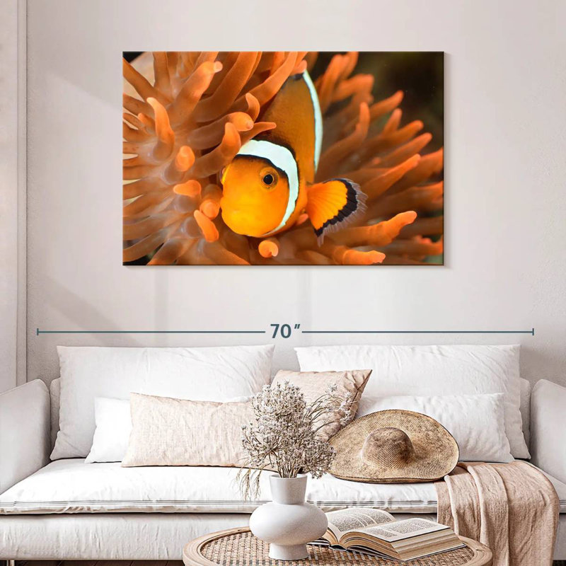 Brampt Orange Clownfish, 30" H x 45" W