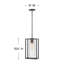 Luminaire suspendu d'extérieur noir à 1 lumière Pax H 15,25 po Pax