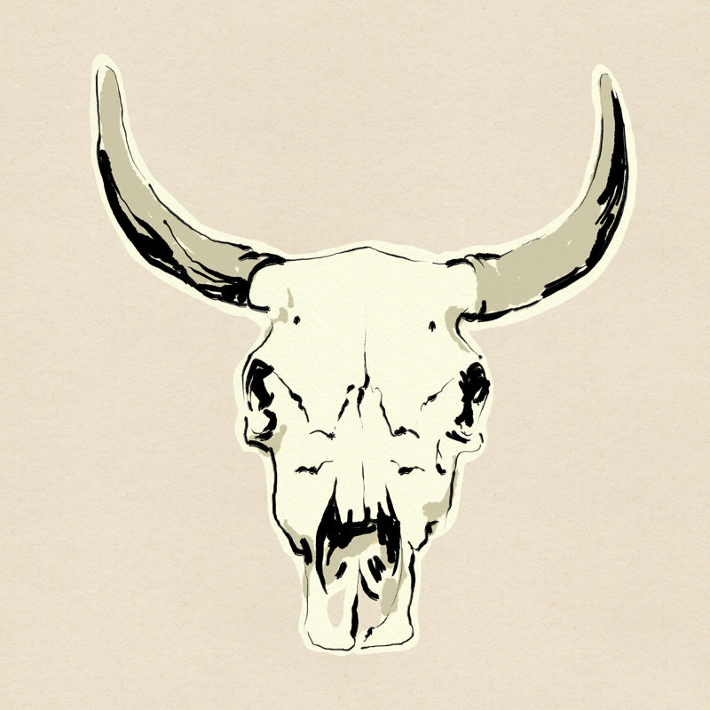 Crâne de bœuf II, H 12 po x l 12 po x P 1,25 po