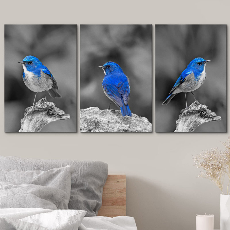 Décoration murale moderne couleur oiseau bleu sur fond noir et blanc, Toile tendue, H 24 po x l 48 po