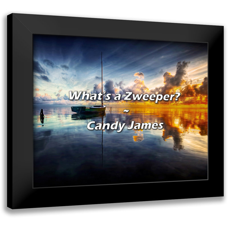 Citation de Candy James: Qu'est-ce qu'un Zweeper?