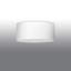Daisy-Mai Semi Flush Mount-1401412420-1401412423