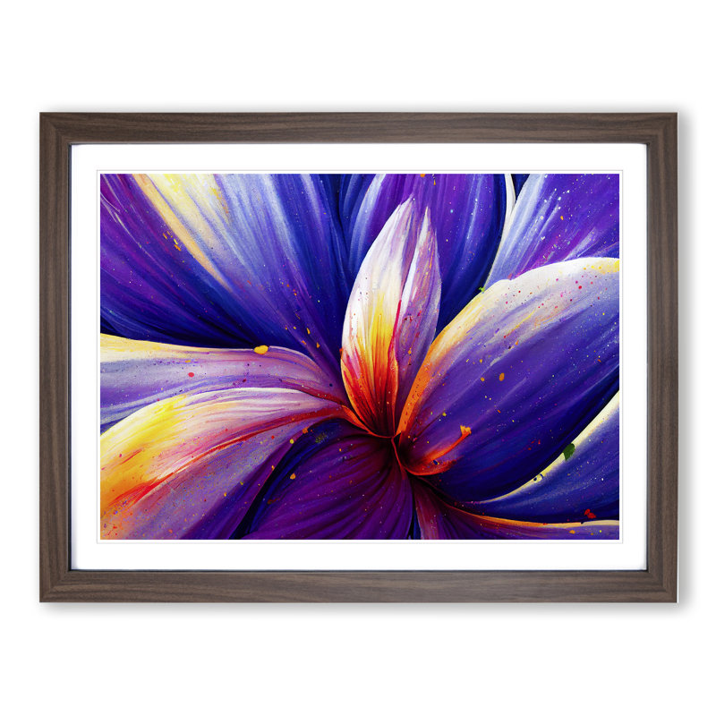 Colourful Iris Flower Vol.1 Abstract - Print, Walnut Framed, 34cm H x 46cm W x 2cm D