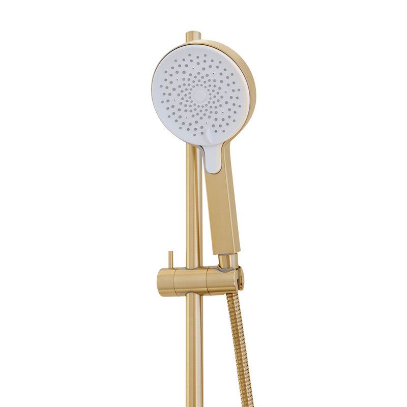 Cigno 0260 Abs Hand Held Shower Head, Brushed Gold