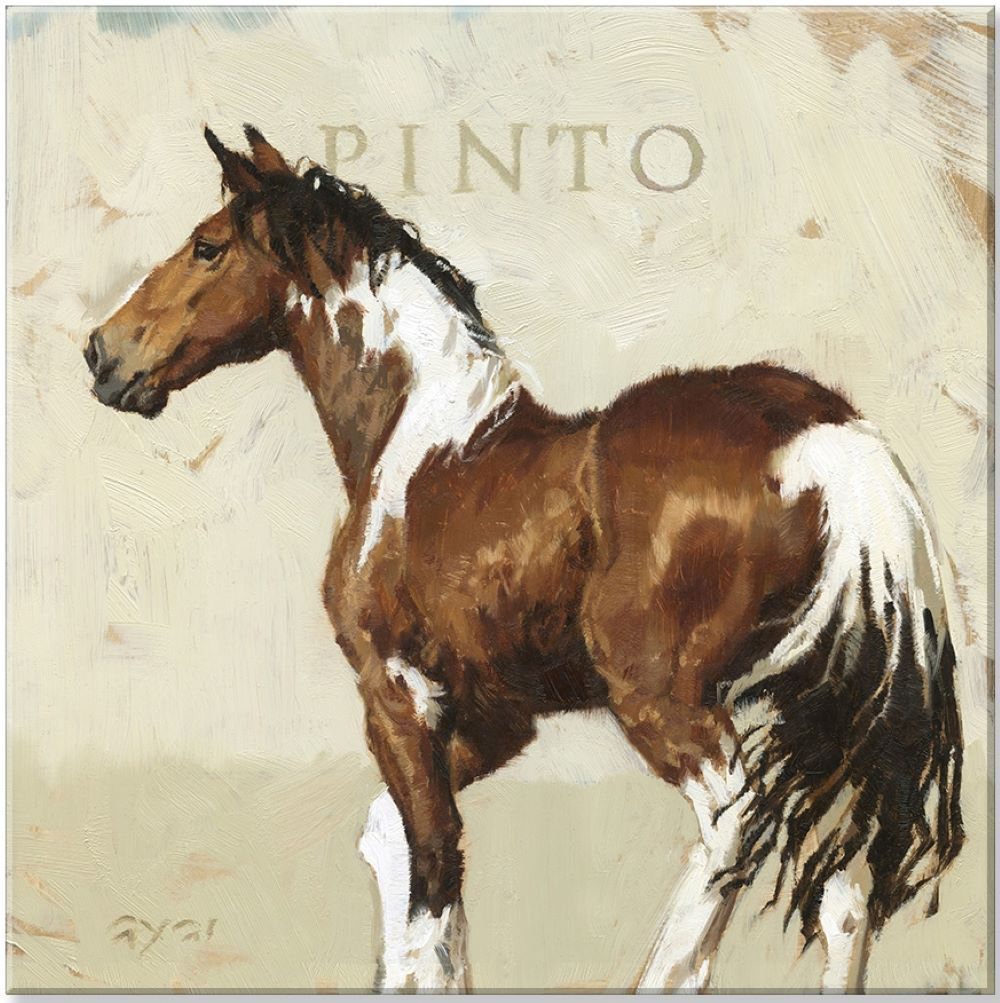 pinto oil painting