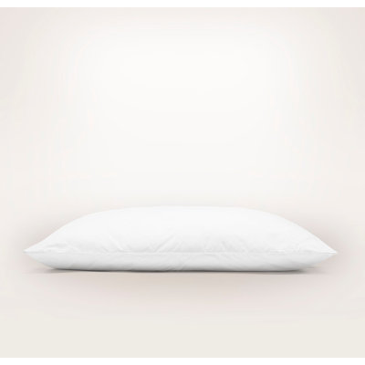 Down Pillow Insert