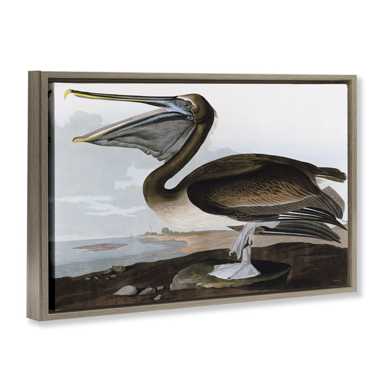 Toile flottante encadrée «Classic Pelican at Beach» par Stellar Design Studio, H 21 po x l 31 po