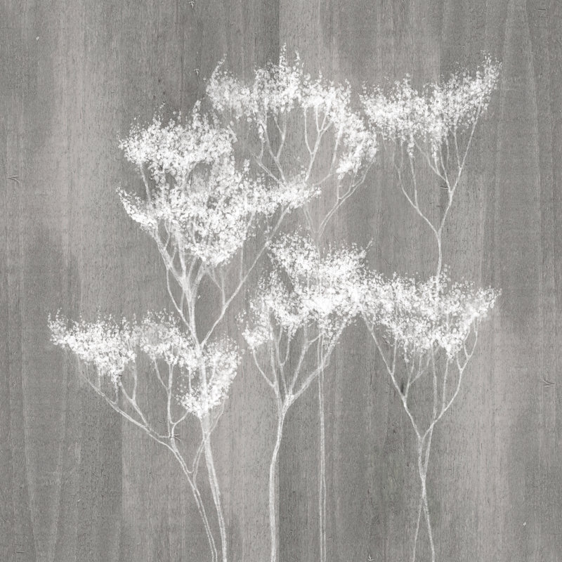Dried Botanical White Wood II - Wrapped Canvas Art Prints, 76cm H x 76cm W