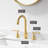 2-handle Bathroom Faucet with Drain Assembly-75202223