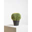 30cm Faux Cactus Plant in Pot