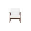 Springview Upholstered Armchair-583212934-583385879