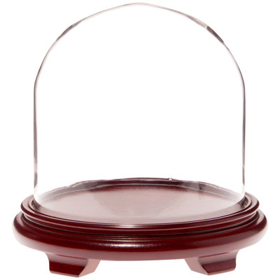 Cloche en verre 9,75 "x 10" Brighton