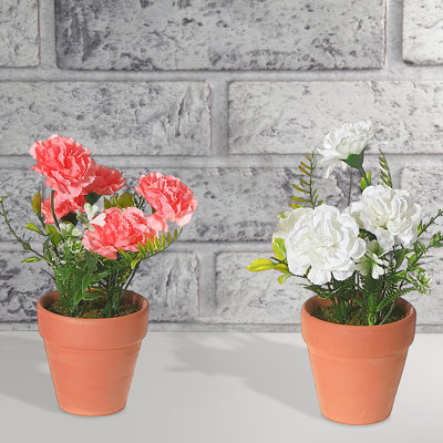 Carnation Arrangement in Pot