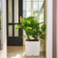Moneak Planter Box-1391113115-1392064358