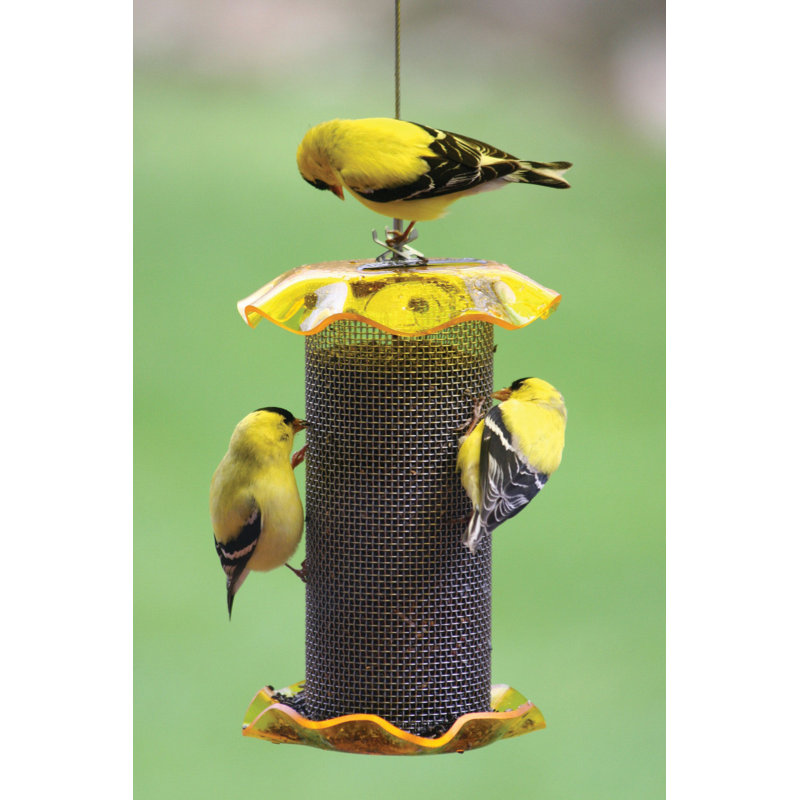 Birds Choice Forever Feeder Mesh Nyjer Wild Bird Feeder, Yellow, 1 Quart