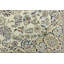Tapis crème crème à motif oriental Indo-nain 6 x 12