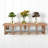 Succulent Arrangements Silk Plant Set