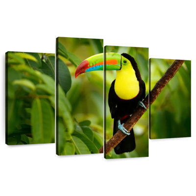 Toucan sur un arbre