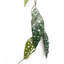 110cm Faux Plant
