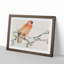 Parrot by Ren Yi - Framed Print-55578326-55578329