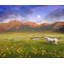 Chris Vest - Wrapped Canvas Print-20254610