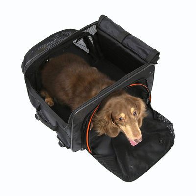 JetPaw:3-in-1 Pet Stroller with Removable Airline-Approved Carrier