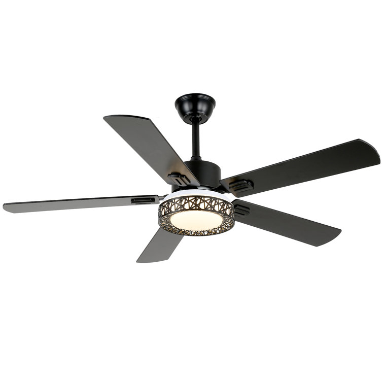 Ehrin 51.96'' Ceiling Fan with LED Lights