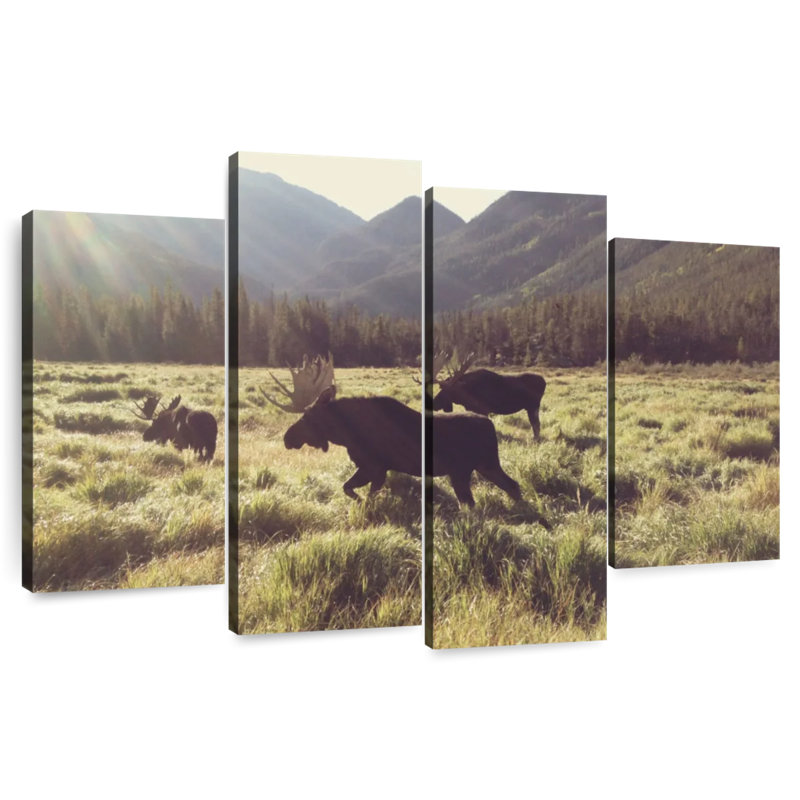 Brampt Three Bull Moose