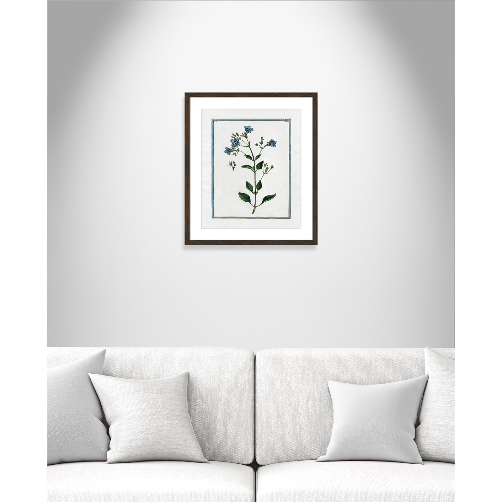 Colombe "Shabby Elegance Botanical II" Print, 16" W x 19" H, Walnut Framed