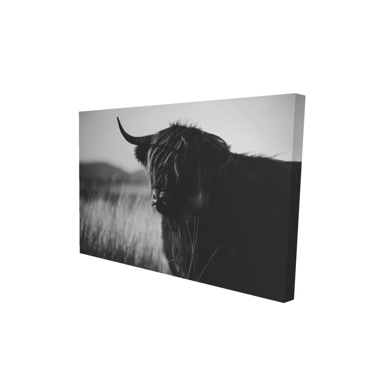 Toile de vache monochrome blanche Highland