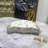 Cissiee Pet Bed