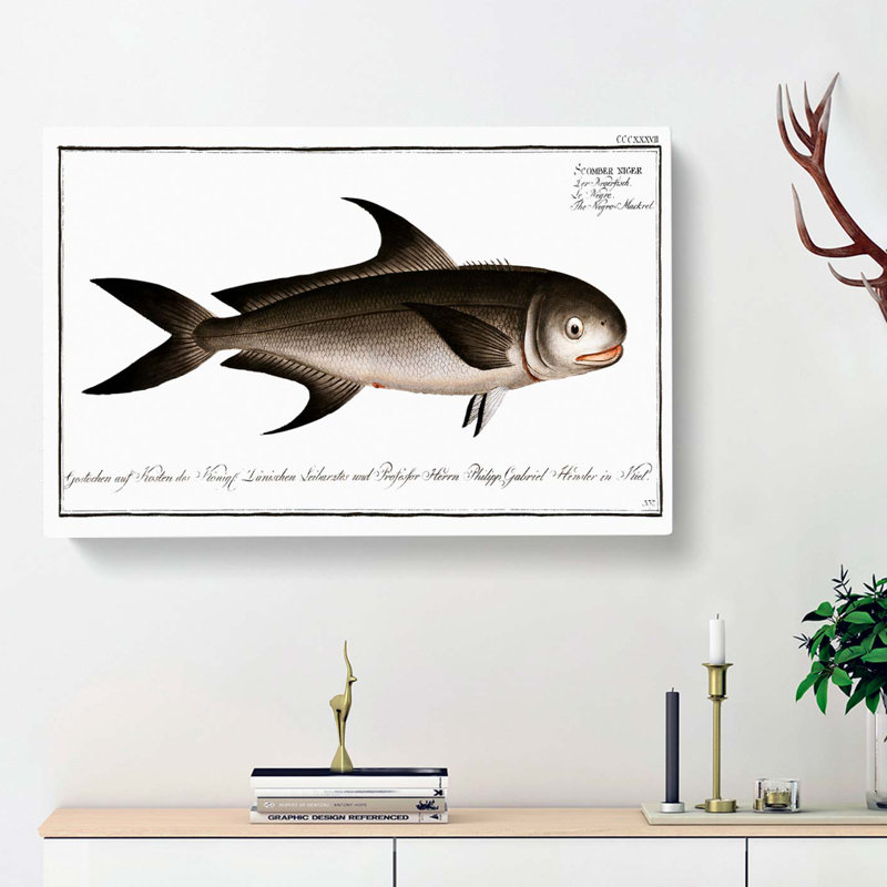 Black Mackerel Fish by M.E. Bloch - Wrapped Canvas, 35cm H x 50cm W x 3cm D