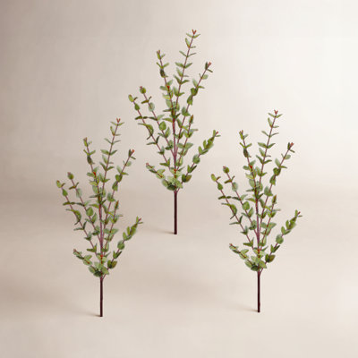 Mini Eucalyptus Stems