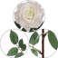 Ensemble de roses artificielles-1221183384-1313048090