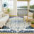 Machine Washable Indoor/Outdoor Chantille ACN2533 Traditional Rug-683877302-683877309