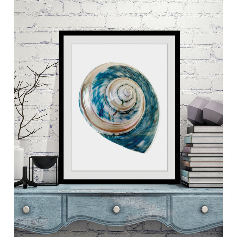 'Shell' Framed Graphic Art