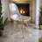 Bagimont Modern Plastic Dining Side Chair with Gold Eiffel Base-34183359