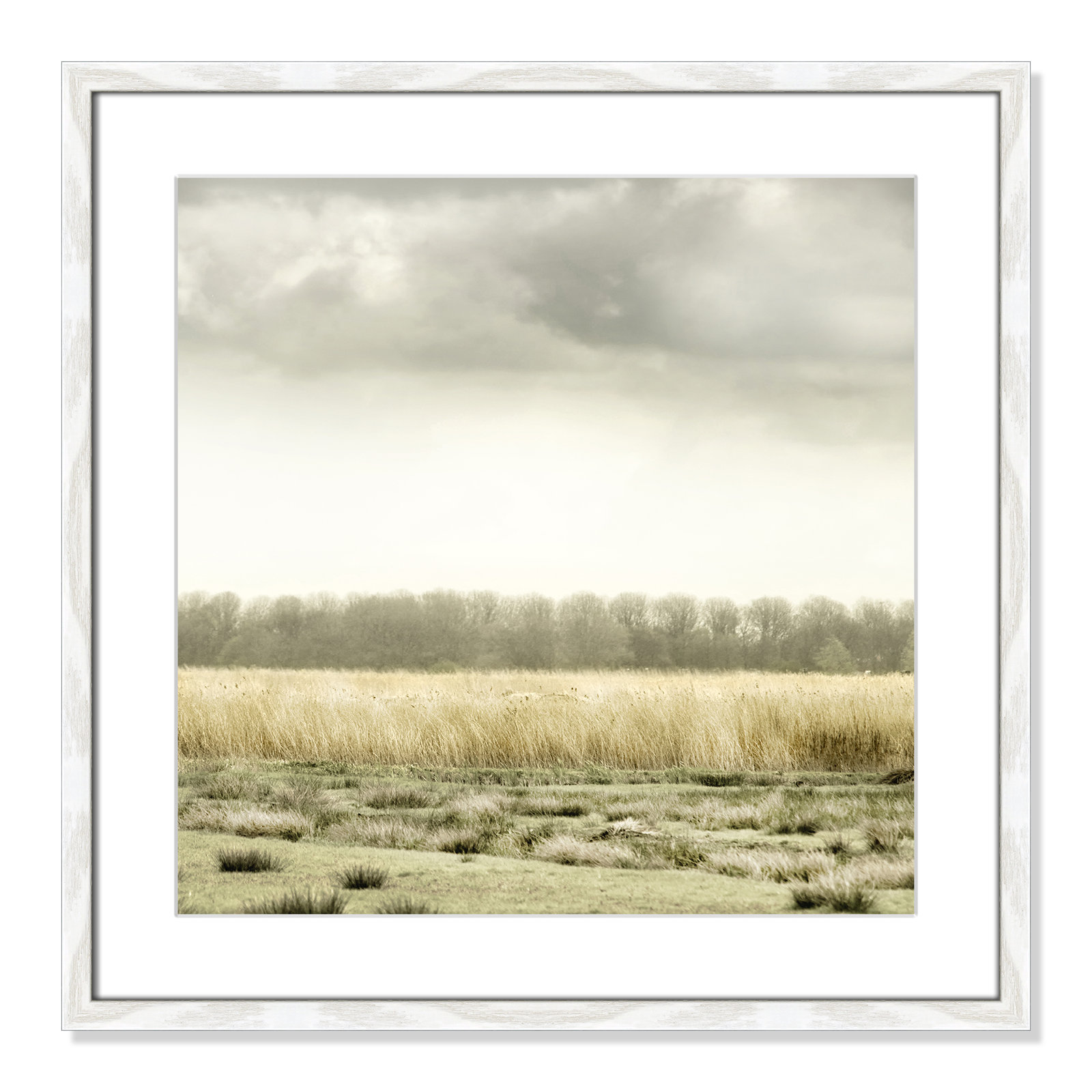 Henri "Meadowland" Print by Danita Delimont, 24.5" H x 24.5" W, White Wood Grain