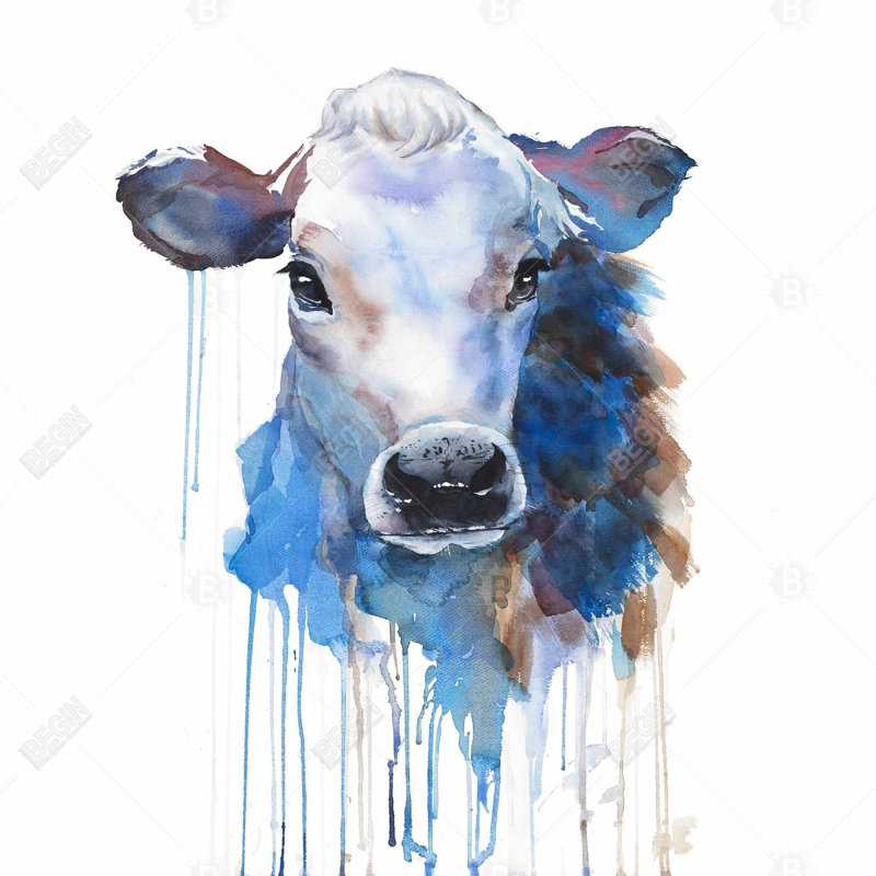 «Watercolor Jersey Cow»