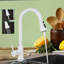 Belfry Kitchen Burna Kitchen Faucet