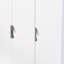 Bhodhini Manufactured Wood Wardrobe-1090418495