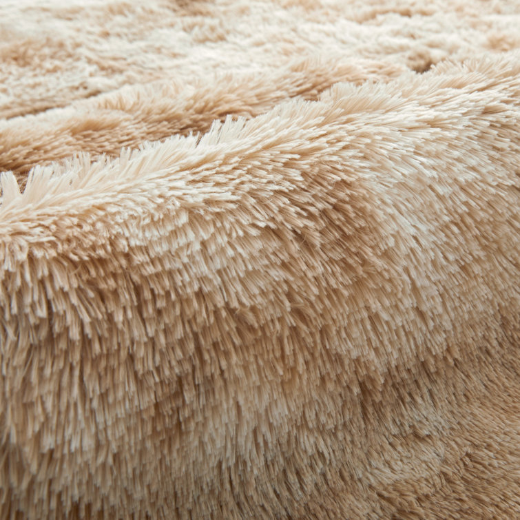 Allesha Standard Shag Area Rug