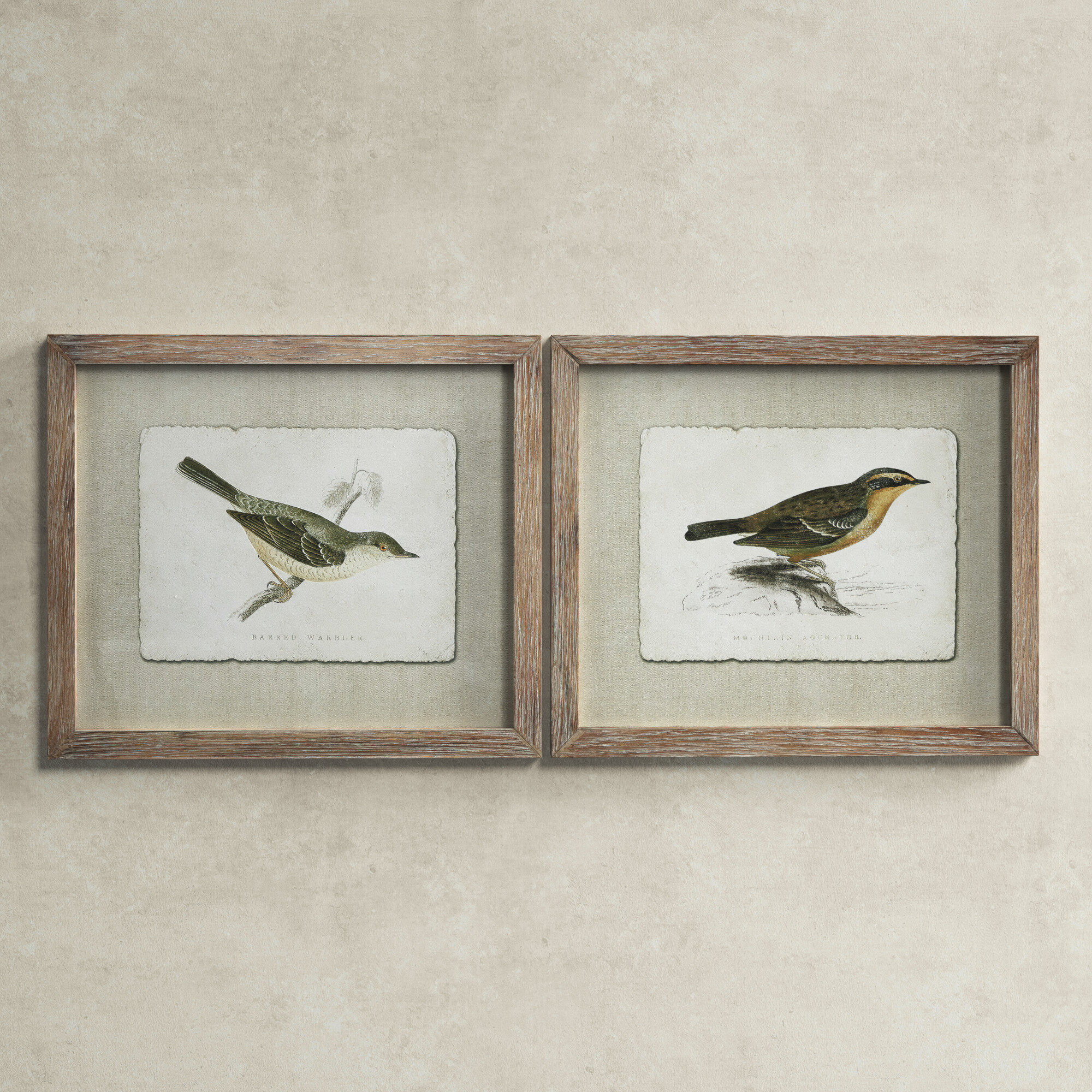 large bird prints framed