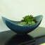 Swoop Ceramic Decorative Bowl-862056706