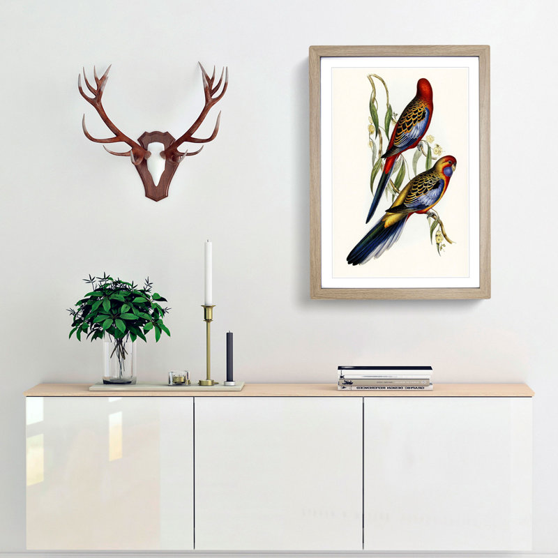 Adelaide Parakeets by Elizabeth Gould - Single Picture Frame Painting, 63cm H x 45cm W x 2cm D, Oak Framed