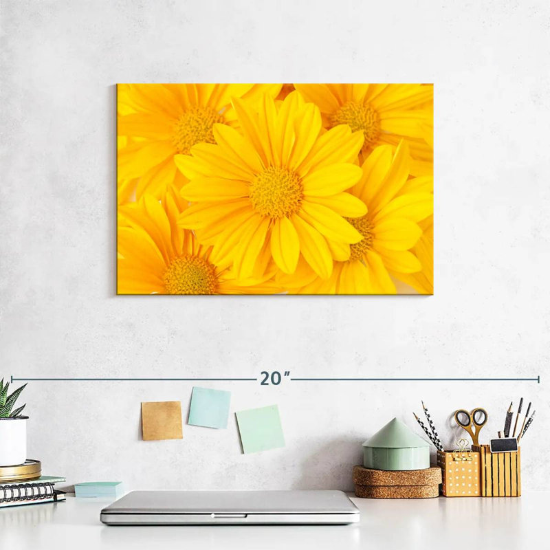 Marguerites jaunes Harnek, H 8 po x l 12 po